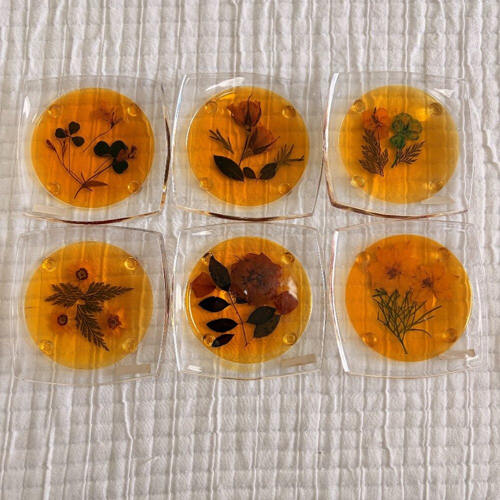 Vintage Set of 6 Pressed Flower Lucite Coasters Retro 70s MCM Floral w/ Box
